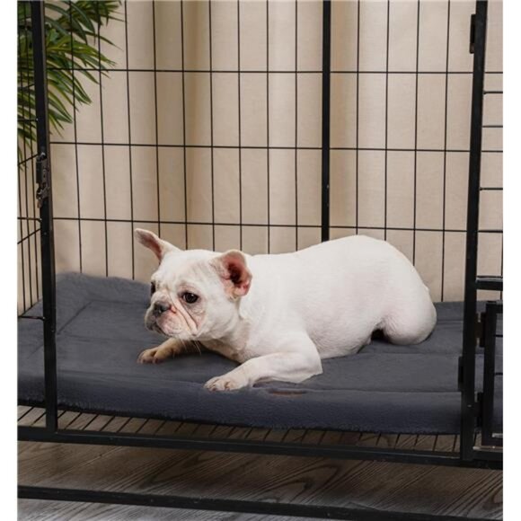 Washable Dog Bed for Size Dogs, Reversible Foam Floor Dog Mat, 29x21, - Picture 6 of 7